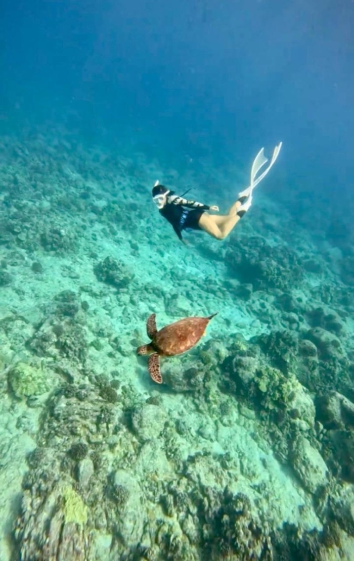 A diver swimming beside a sea turtle