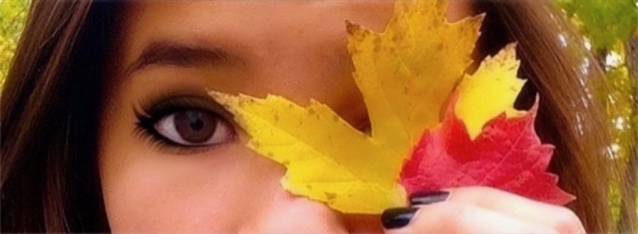An eye framed by leaves
